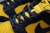 Nike Dunk Low Michigan - One Sneaker