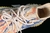 Adidas Yeezy Boost 350 - One Sneaker