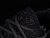 Adidas Yeezy Boost 350