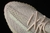 Adidas Yeezy Boost 350 na internet