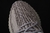 Adidas Yeezy Boost 350 na internet