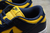 Nike Dunk Low Michigan na internet