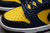Nike Dunk Low Michigan - loja online