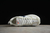 Air Max Dawn - loja online
