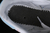 Adidas Samba na internet