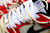 NBA x Nike Dunk Low "75th Anniversary" - One Sneaker