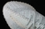 Adidas Yeezy Boost 350 na internet