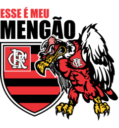 Banner da categoria Flamengo