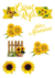 Topo de Bolo Simples