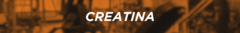 Banner da categoria Creatina