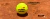 Imagem do banner rotativo 3