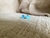 Brinco de bolinha pequeno