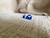 Imagem do Brinco de bolinha pequeno