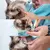 Saco de Banho para Gatos – Banho Sem Estresse, Gato Protegido! - Tecnolifee