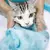 Saco de Banho para Gatos – Banho Sem Estresse, Gato Protegido! - comprar online