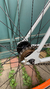 Night Riders 2023 TAM 56cm - loja online