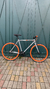 Night Riders 2023 TAM 56cm