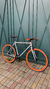 Night Riders 2023 TAM 56cm na internet