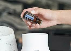 Menta 15 mL - comprar en línea