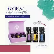 Difusor Pebble + kit de Aceites Esenciales - tienda en línea