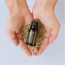 Hinojo 15 mL - comprar en línea