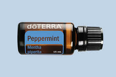 Menta 15 mL en internet