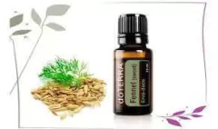 Hinojo 15 mL en internet