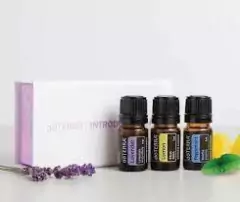 Imagen de Difusor Pebble + kit de Aceites Esenciales