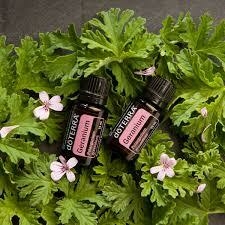 Geranio 15 mL - AromaVida