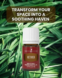 Aceite Esencial Vetiver de Young Living - comprar en línea