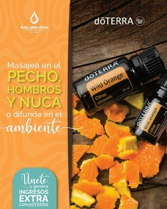 Naranja Silvestre 15 mL en internet