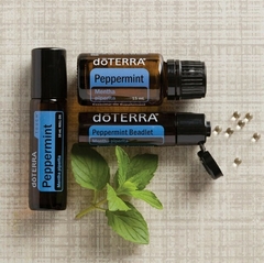 Menta Touch 10 mL - AromaVida