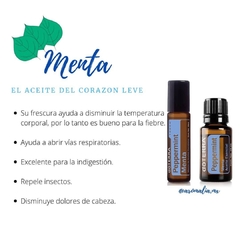 Menta Touch 10 mL en internet