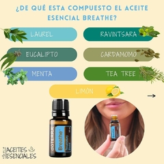 dōTERRA Breathe® 15 mL en internet