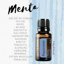 Menta 15 mL - tienda en línea