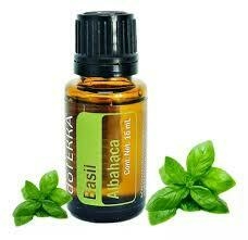 Imagen de Albahaca 15mL