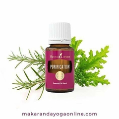 Aceite Esencial Purification - tienda en línea