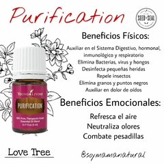 Aceite Esencial Purification - comprar en línea