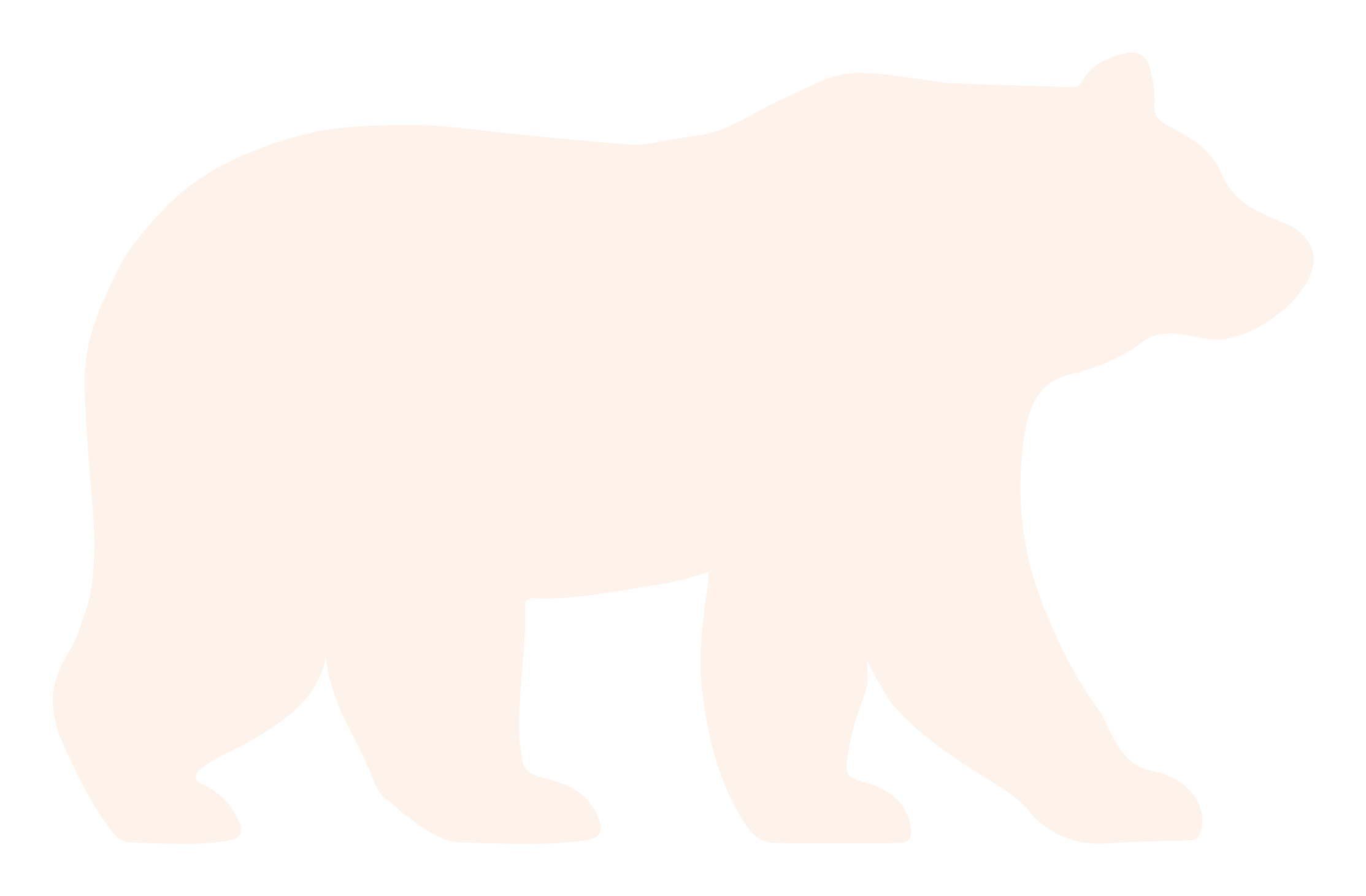 Bear