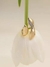 ANEL CAUDA SEREIA DOURADO - comprar online