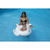 Inflable de Cisne para bebés 80cm x 80cm - comprar online