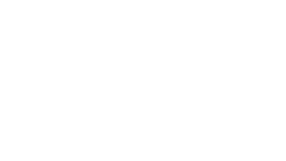 PULSAR SEX SHOP