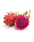 500g Pitaya Vermelha Orgânica - comprar online