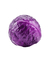 Repolho Roxo Orgânico - comprar online