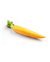 500g Cenoura Amarela Orgânica - comprar online
