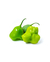 300g Pimenta Cambuci Orgânica - comprar online