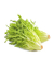 Pé de Alface Frisée Orgânica - comprar online