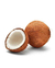 Coco Seco Orgânico - comprar online
