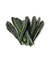 Maço Cavolo Nero Orgânico - comprar online