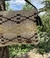 Bandolera Taqsaj en internet